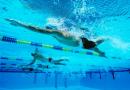 Водные виды спорта список Какие бывают водные виды спорта